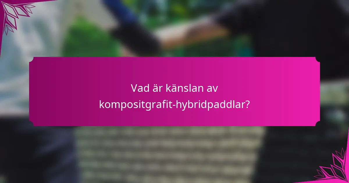 Vad är känslan av kompositgrafit-hybridpaddlar?