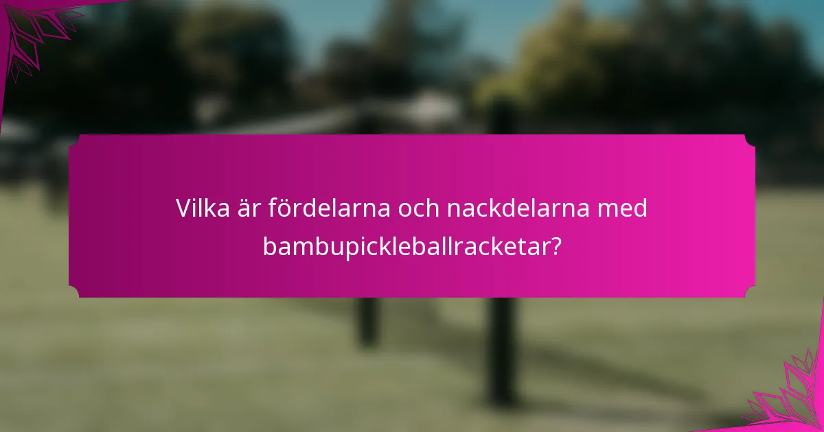 Vilka är fördelarna och nackdelarna med bambupickleballracketar?